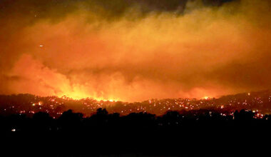 Eld syns över skogen och himlen.