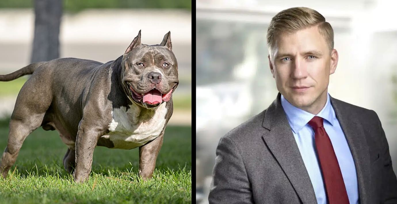 M-ledamot: ”Dessa hundar behöver förbjudas”