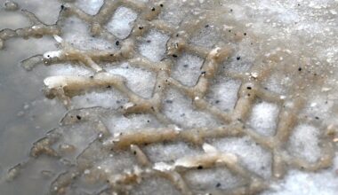 Väderomslag kan ge lurigt väglag