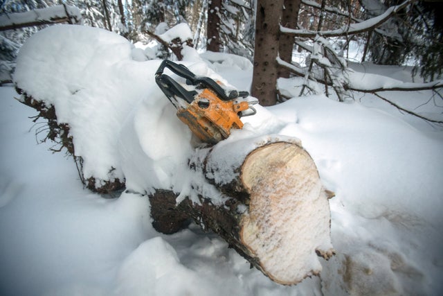 ”Undvik att jobba med motorsåg då riskerna är stora”, säger Patrik Karlsson.