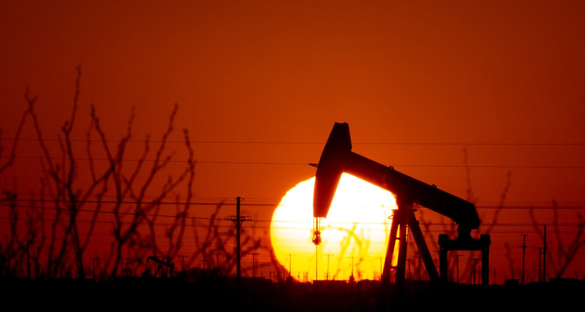 Foto: Intellego Technologies