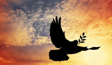 Påvens budskap på Världsdagen för fred 2026