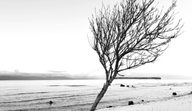 Tove Lifvendahls nyhetsbrev 4 januari 2026