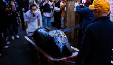 Tonfisk såld för 30 miljoner på auktion i Tokyo