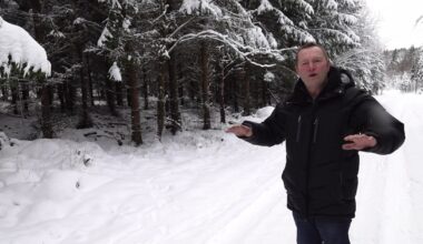 Så har Jacobs skog repat sig efter stormen Gudrun: ”Det växer på”