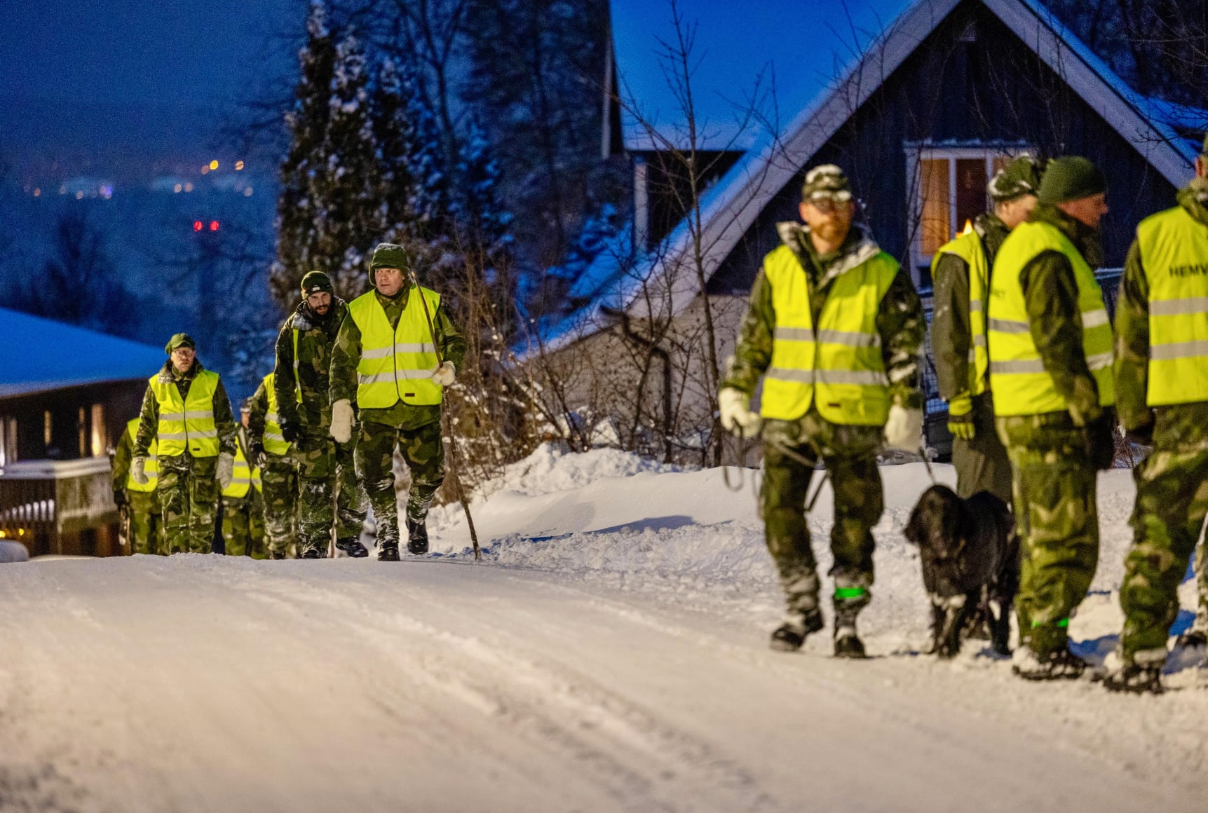Polisen och hemvärnet har deltagit i sökandet.