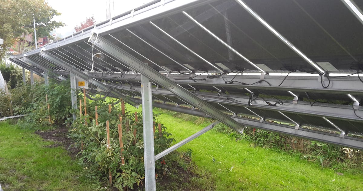 Solpaneler i odlingar även bra för lantarbetare – Natursidan