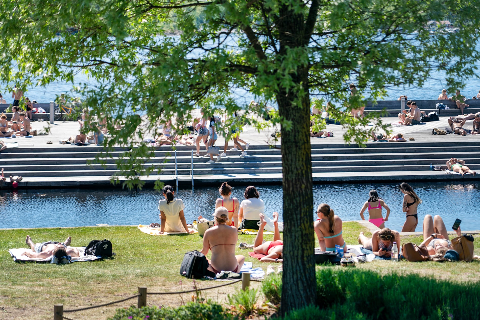 Människor solar under en varm majdag i Oslo i år.