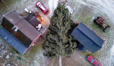 Efter stormarna – försäkringsanmälningarna skjuter i höjden