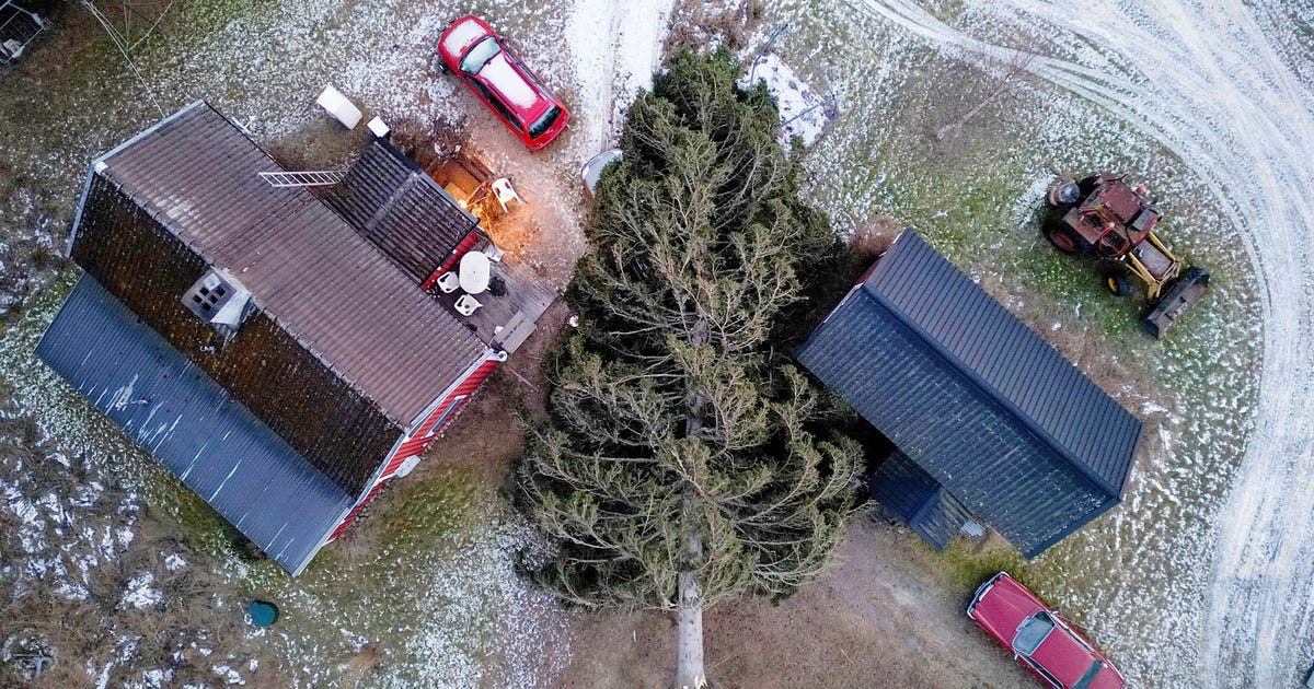 Efter stormarna – försäkringsanmälningarna skjuter i höjden
