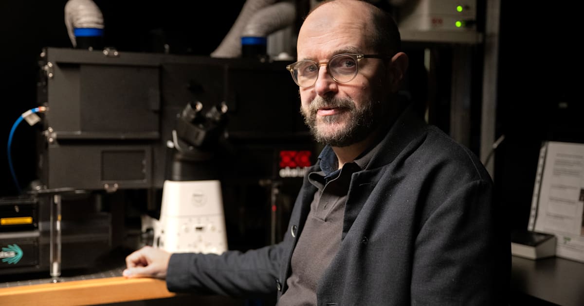 Nytt forskarhopp om att lösa gåtan schizofreni