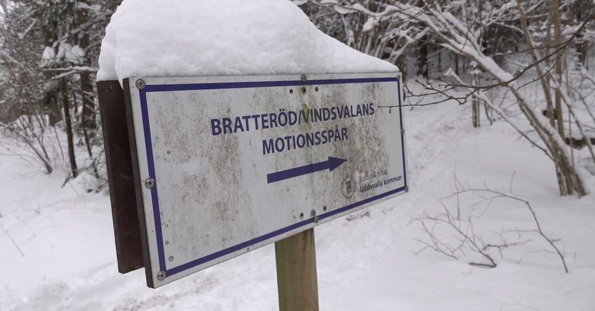 Polis överväger ny översyn av terrängen efter försvunnen kvinna i Uddevalla