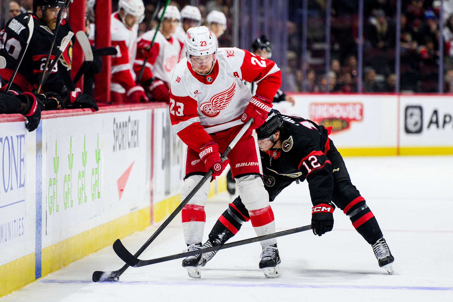 Detroits Lucas Raymond i segermatchen mot Ottawa.