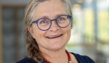 Mycket kvar att göra i världens medier