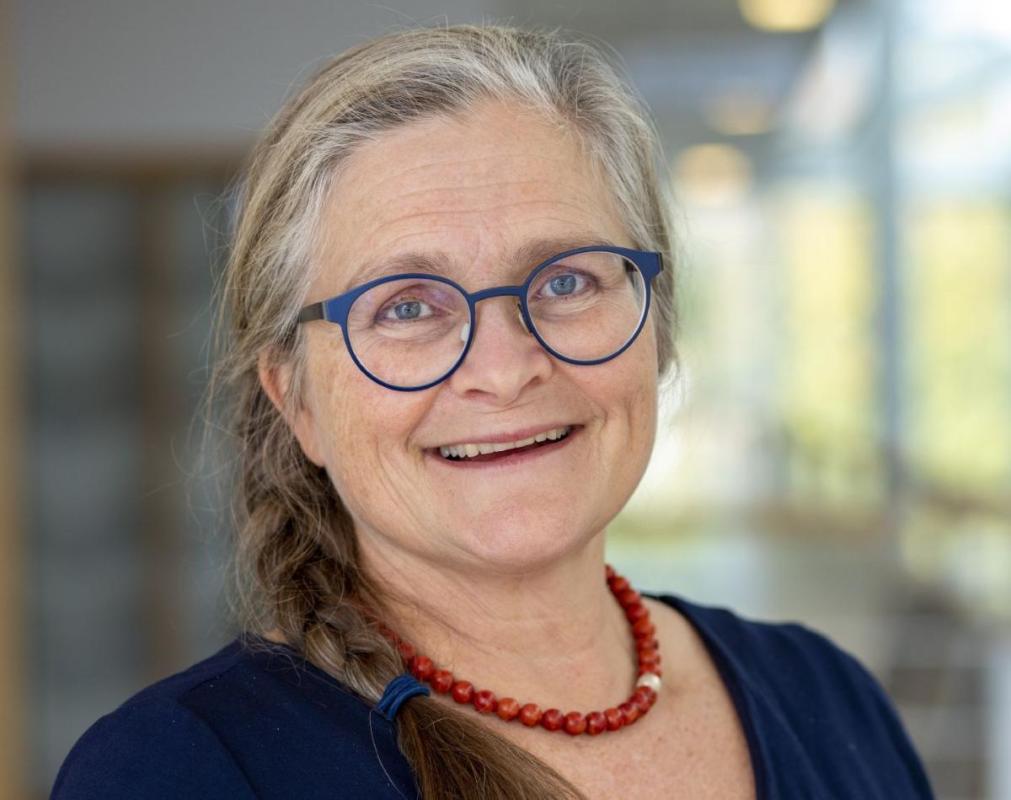 Mycket kvar att göra i världens medier