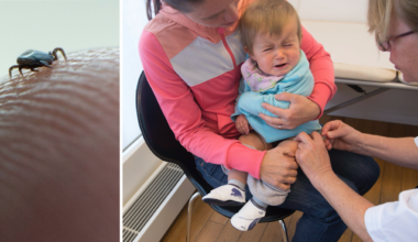 Västsveriges treåringar erbjuds gratis TBE-vaccin