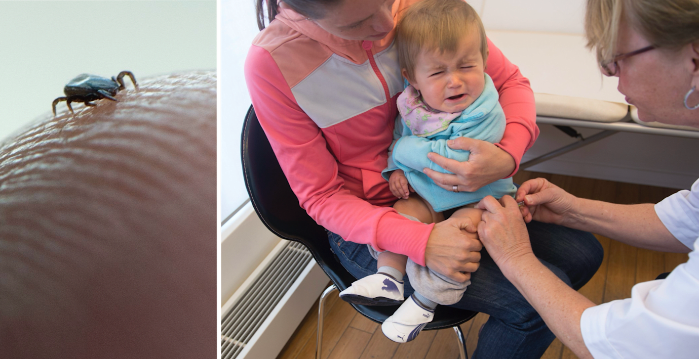 Västsveriges treåringar erbjuds gratis TBE-vaccin