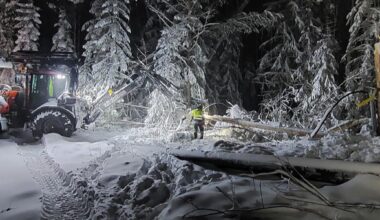 ”Det har varit ett heroiskt återställningsarbete efter stormen”