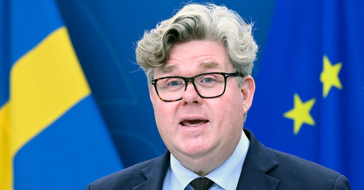 Tidöpartierna vill skärpa straff för nästan 50 brott