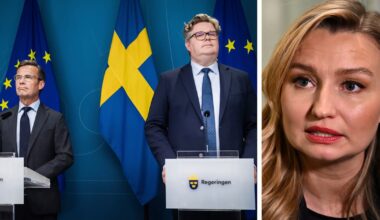 Hårda kritiken från Busch: ”Enda rimliga” - SvD