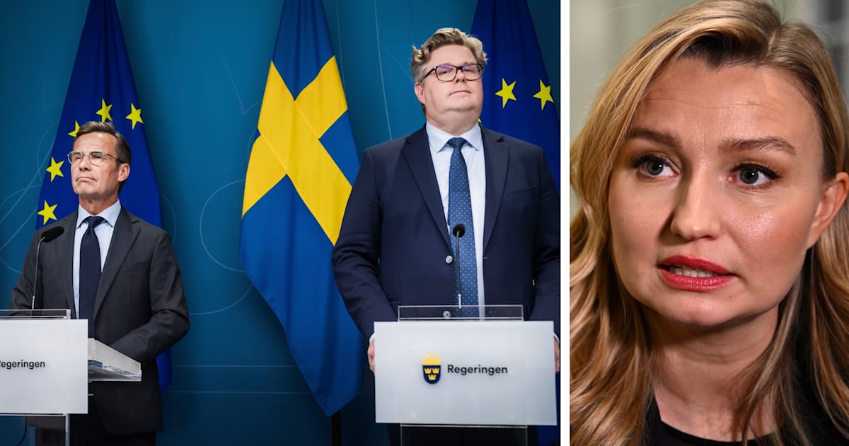 Hårda kritiken från Busch: ”Enda rimliga” - SvD