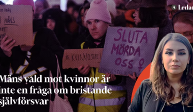 Psykiskt störda män mördar kvinnor – regeringen låtsas vara oskyldig – Arbetet