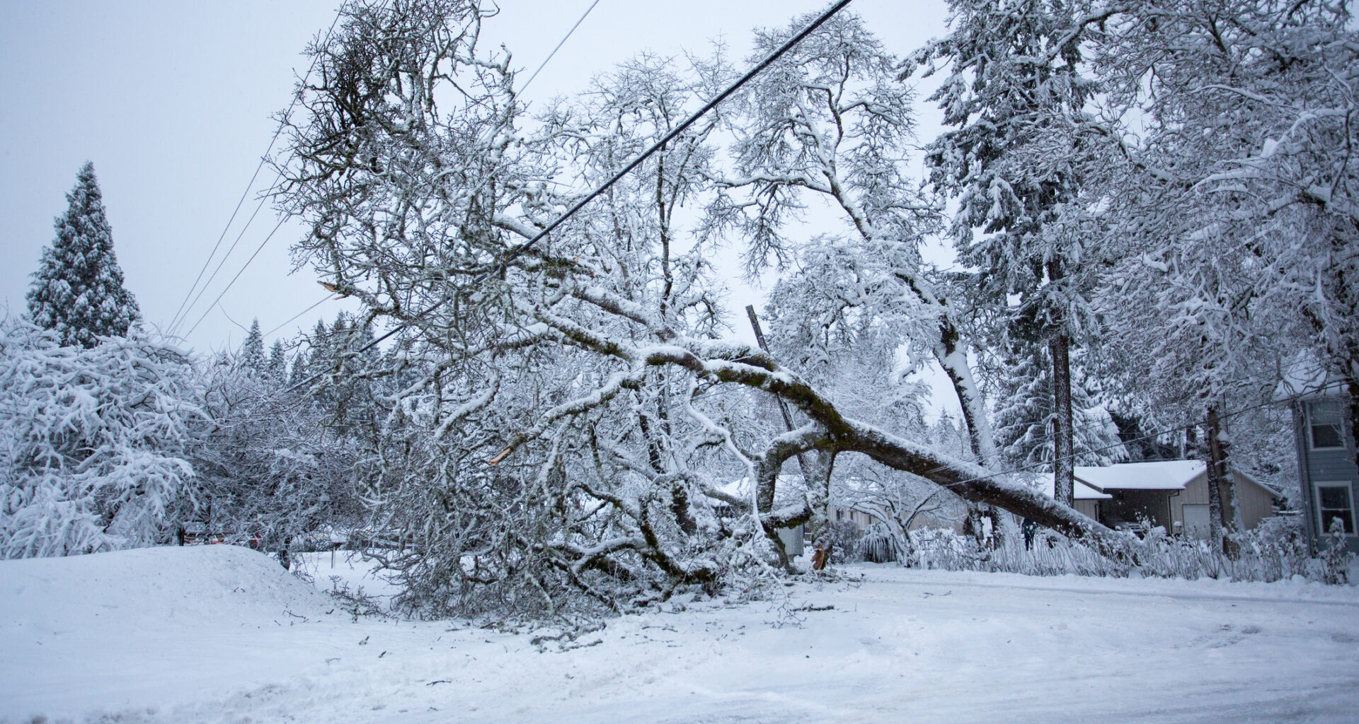 Anna och Johannes – därför får oväder namn