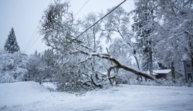 Anna och Johannes – därför får oväder namn