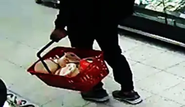 Rånare utvisas efter våldsam oststöld på Ica