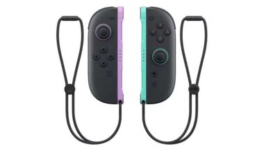 joycon 2 purple green