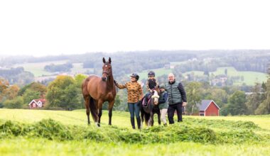 Jönköpingsbolag inom häst och gård växer kraftigt – stärker samarbeten och skapar nya jobb