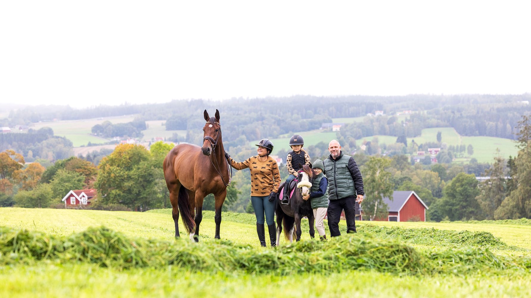 Jönköpingsbolag inom häst och gård växer kraftigt – stärker samarbeten och skapar nya jobb