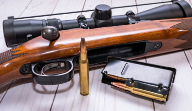 Glömde laddad studsare vid p-plats – frias i tingsrätten