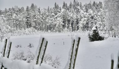Orange snövarning även i Västsverige – Cornucopia?