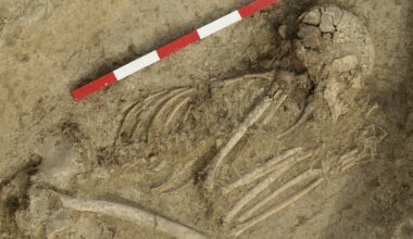 En ung man blev biten av ett lejon för 6 200 år sedan – forskare säger att han överlevde av en överraskande anledning