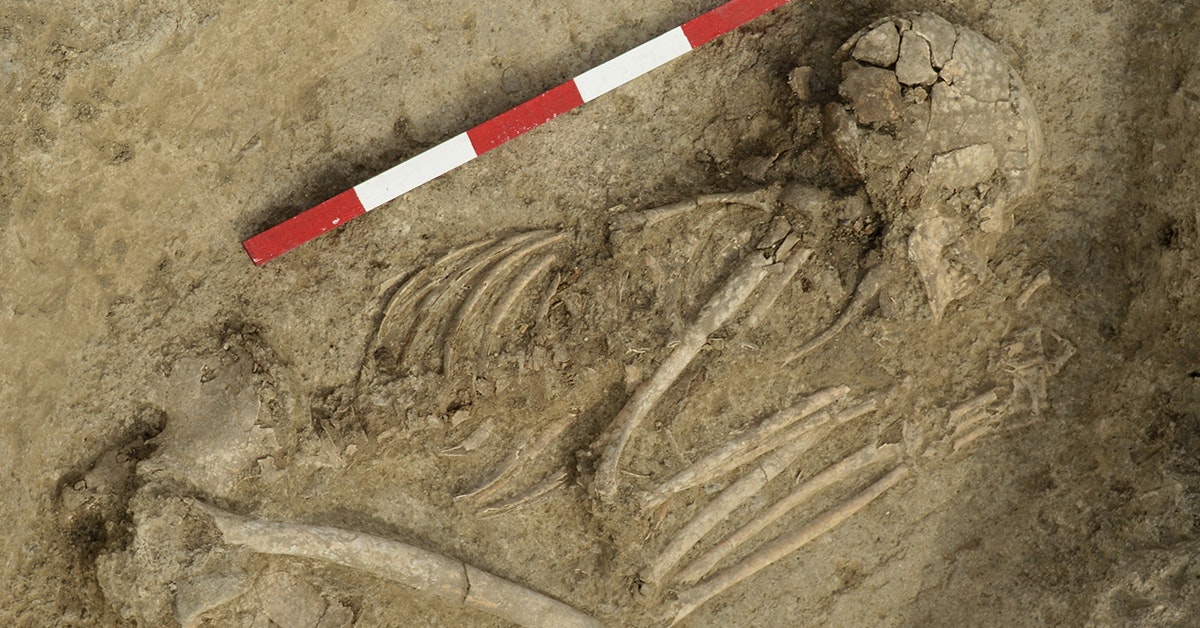 En ung man blev biten av ett lejon för 6 200 år sedan – forskare säger att han överlevde av en överraskande anledning