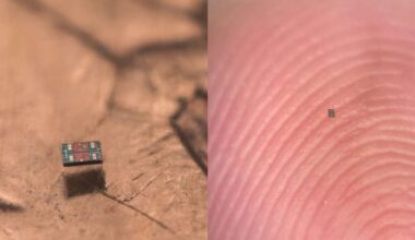 Forskare skapar världens minsta robotar – och de kan komma att revolutionera ett speciellt område
