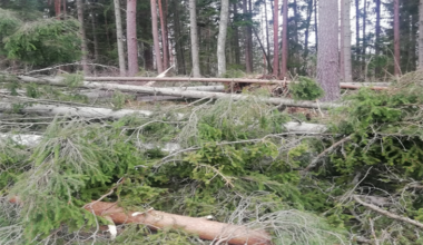 Vattenfall inspekterar elnätet – gå inte nära nedfallna ledningar