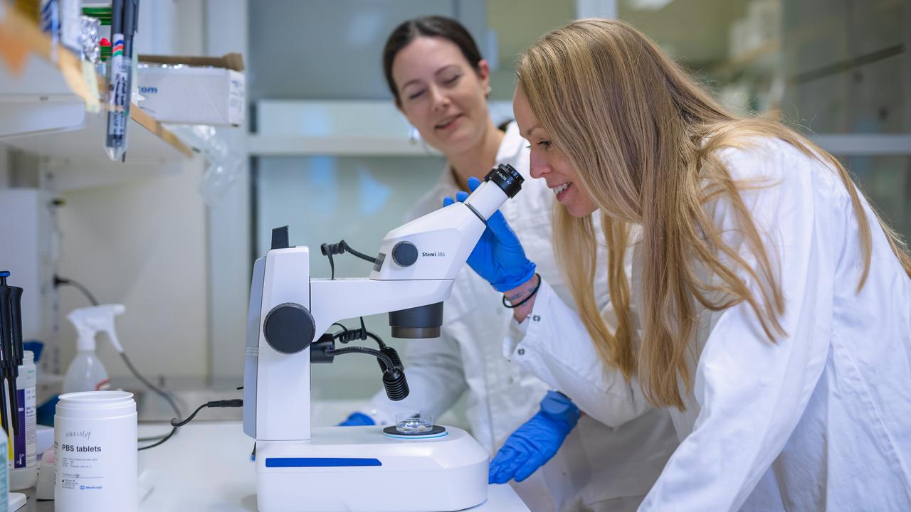 Så är forskningen en styrka i en osäker värld