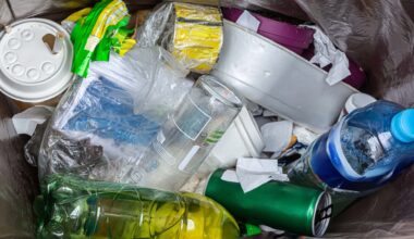 Plastflaskor, matkartonger och lock i en soptunna.