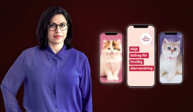 Somar Al Naher: Migrationsverket skickade reklam om återvandring till mig - ETC.se