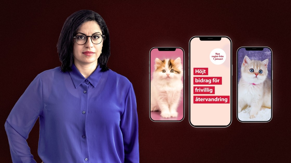 Somar Al Naher: Migrationsverket skickade reklam om återvandring till mig - ETC.se