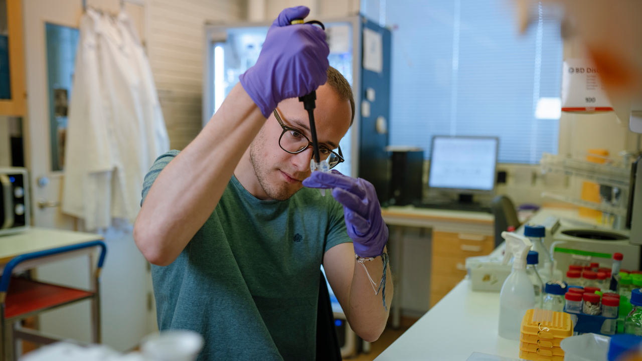 Undersöker ett potentiellt läkemedel mot parasiten Cryptosporidium