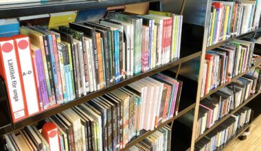 Skolbibliotek statistik