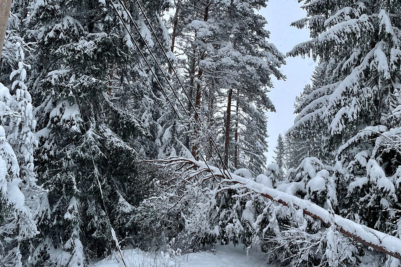 Foto: Falu Energi & Vatten.