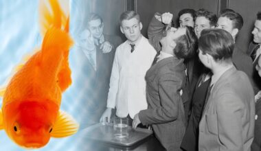 Studenter svalde guldfiskar | varldenshistoria.se