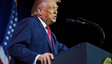 Hogst Direktavkastning