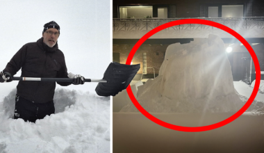 Betongarbetaren kommer inte till jobbet – här någonstans står hans firmabil