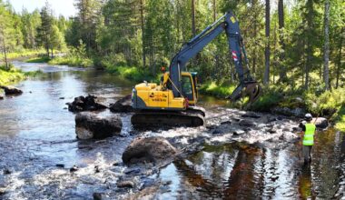 Ny studie ger viktig kunskap om hur lekområden för laxfiskar bör anläggas