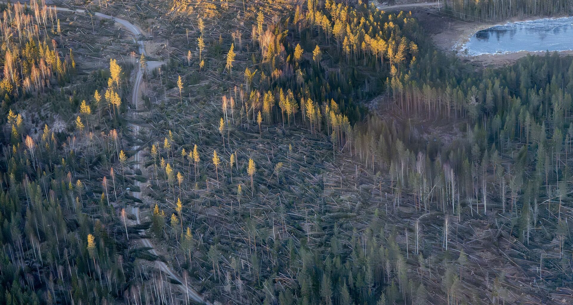 Ellevio erbjuder ersättning för hotellboende till kunder som fortfarande är utan el på nyårsafton